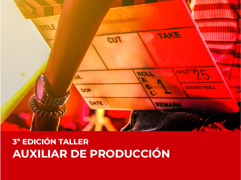 auxiliar de producción